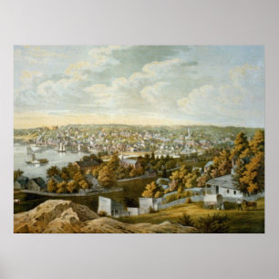 Vintage SchilderKaart van Georgetown (1855) Poster