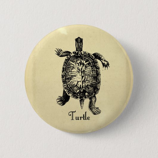 VINTAGE SCHILDPAD RONDE BUTTON 5,7 CM (Voorkant)