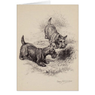 Vintage - Schotse Terriers & een konijnenhol,