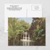 Vintage Schweitzer Herfsten Briefkaart (Voorkant / Achterkant)