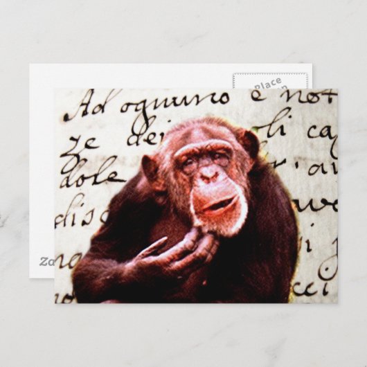 vintage scripts funny Chimpanzee Briefkaart (Voorkant / Achterkant)