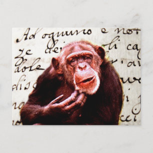 vintage scripts funny Chimpanzee Briefkaart