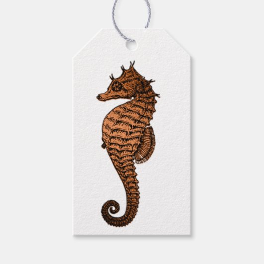 Vintage Seahorse Cadeaulabel (Voorkant)