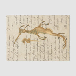 Vintage Seahorse Tissuepapier