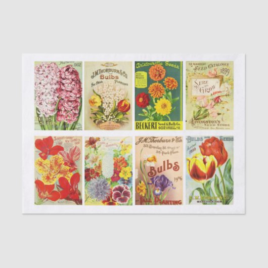 Vintage Seed Packet Collection Decoupage Collage Tissuepapier (Voorkant)