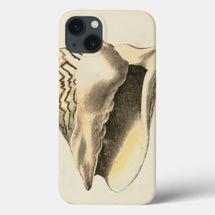 Vintage Sepia Conch Shell iPhone 13 Hoesje