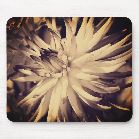 Vintage Sepia Dahlia Flower Muismat (Voorkant)