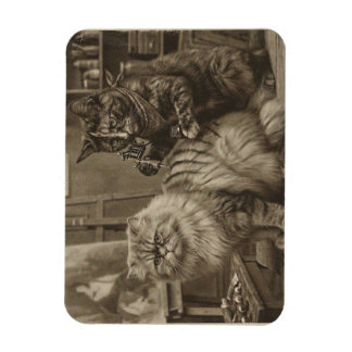 Vintage Sepia Kattattoo-artiest – Grappige Victori Magneet