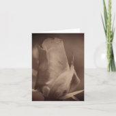 Vintage Sepia Roosknop Bloem Noot Kaart (Voorkant)