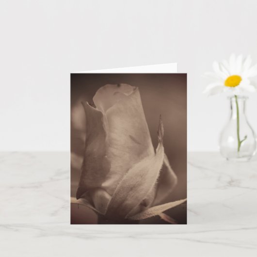 Vintage Sepia Roosknop Bloem Noot Kaart (Kleine Plant)