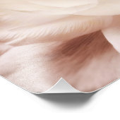 Vintage Sepia White & Cream Ranunculus Background Foto Afdruk (Hoek)