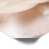 Vintage Sepia White & Cream Ranunculus Background Foto Afdruk (Hoek)