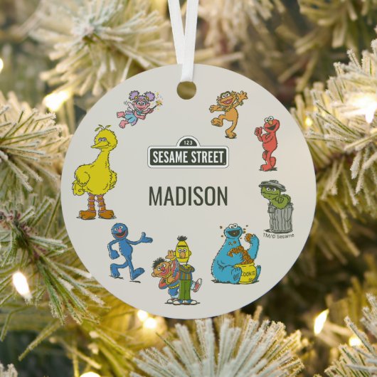 Vintage Sesame Street Characters Metalen Ornament (Insitu)