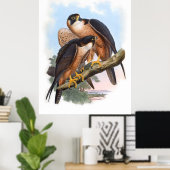 Vintage Shaheen Falcon Bird Poster (Thuiskantoor)