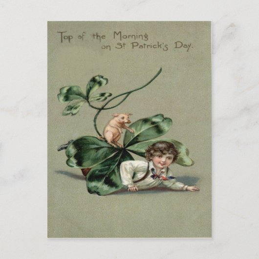 Vintage Shamrock Varken St. Patrick's Dag Kaart (Voorkant)