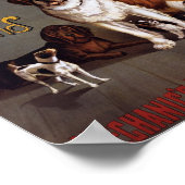 Vintage Show Poster (Hoek)