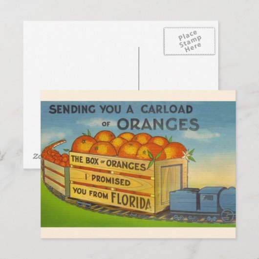 Vintage Sinaasappels Briefkaart (Voorkant / Achterkant)