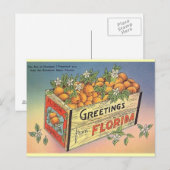 Vintage Sinaasappels Briefkaart (Voorkant / Achterkant)