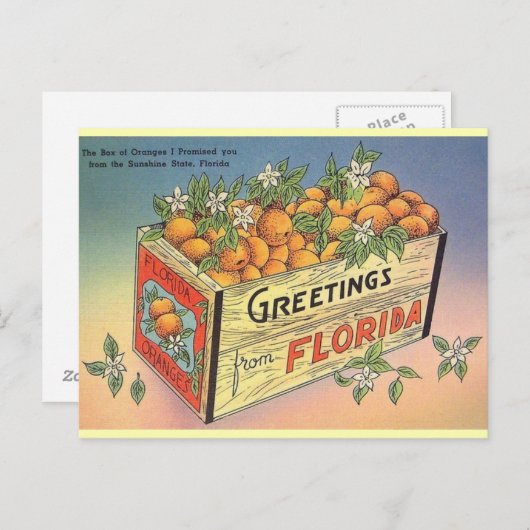 Vintage Sinaasappels Briefkaart (Voorkant / Achterkant)