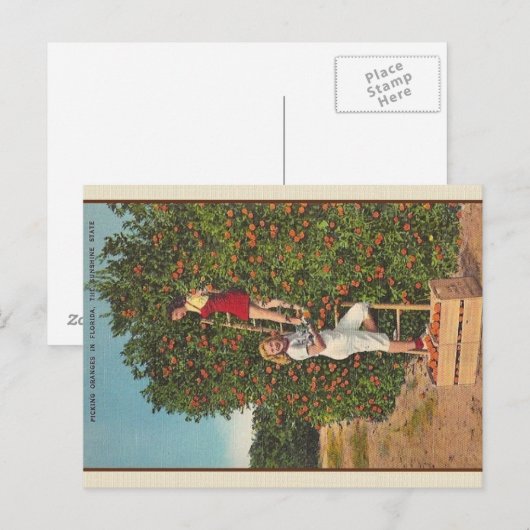 Vintage Sinaasappels Briefkaart (Voorkant / Achterkant)