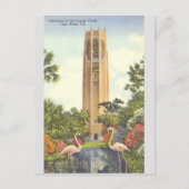 Vintage Singing Tower Lake Wales Briefkaart (Voorkant)