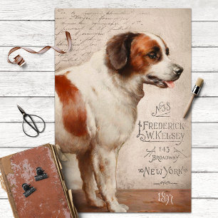 Vintage Sint-Bernard Dog met Ephemera-ontkoppeling Tissuepapier