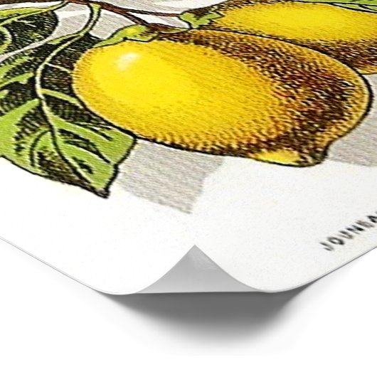 Vintage Sirop de Citron AD - Poster (Hoek)