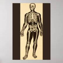 Vintage skeletillustratie verouderd whimsical