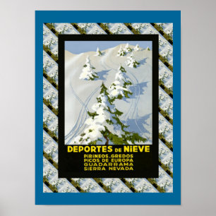 Vintage Ski Deportes de Nieve, Picos di Europa Poster