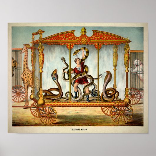 Vintage Snake Wagon Poster (Voorkant)