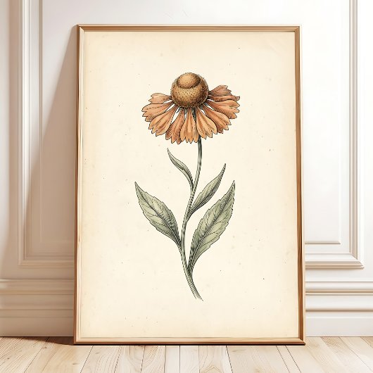 Vintage Sneezeweed Botanische Kunstprint Poster
