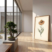Vintage Sneezeweed Botanische Kunstprint Poster