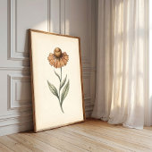 Vintage Sneezeweed Botanische Kunstprint Poster