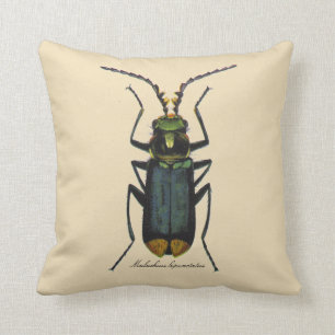Vintage snijdt de Entomologie van Malachite Beetle Kussen