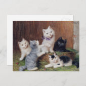 Vintage Sophie Sperlich Kittens Briefkaart (Voorkant / Achterkant)