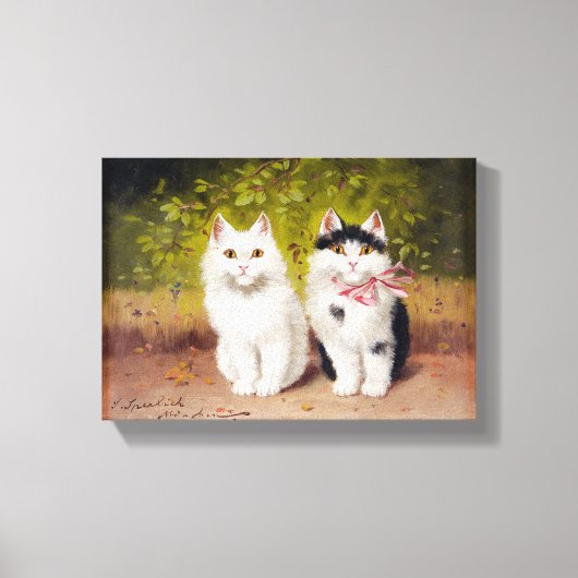 Vintage Sophie Sperlich Two Kittens 1906 Canvas Afdruk (Voorkant)