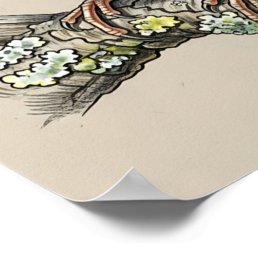 Vintage Sparrow Bird Illustration  Poster (Hoek)