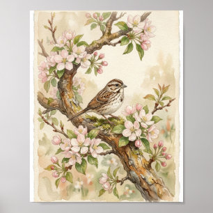 Vintage Sparrow Bloesems I Vintage Schilderij Poster