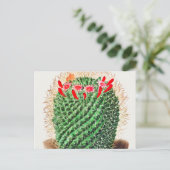 Vintage speldenkussen, geïllustreerd briefkaart (Staand voorkant)