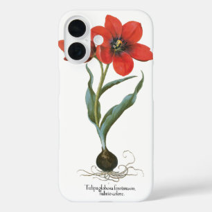 Vintage Spring Rode Tulpentuin Bloem door Besler iPhone 16 Hoesje