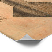 Vintage Squid Art Print Illustration Zee (Hoek)