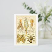 Vintage Squid & Octopus Illustration Briefkaart (Staand voorkant)
