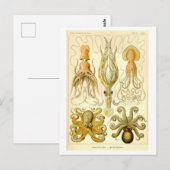 Vintage Squid & Octopus Illustration Briefkaart (Voorkant / Achterkant)