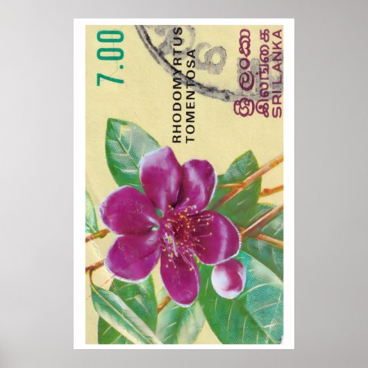 Vintage Sri Lanka Bloem Print - Postzegel (Voorkant)