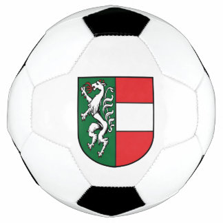 Vintage Steiermark Fürstenfeld Wappen Voetbal
