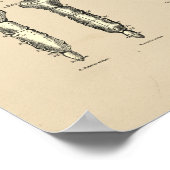 Vintage Sternal Anatomy 1880 Print (Hoek)