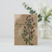 Vintage stijl Fenugreek Herb Briefkaart (Staand voorkant)