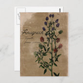 Vintage stijl Fenugreek Herb Briefkaart (Voorkant / Achterkant)