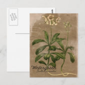 Vintage stijl Wintergreen Plant Briefkaart (Voorkant / Achterkant)