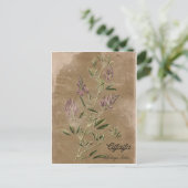 Vintage Stijlalfalfa-Plant Briefkaart (Staand voorkant)